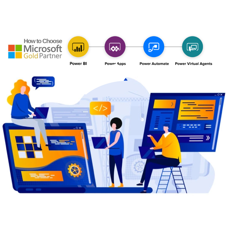 Microsoft Development And Consulting Services
